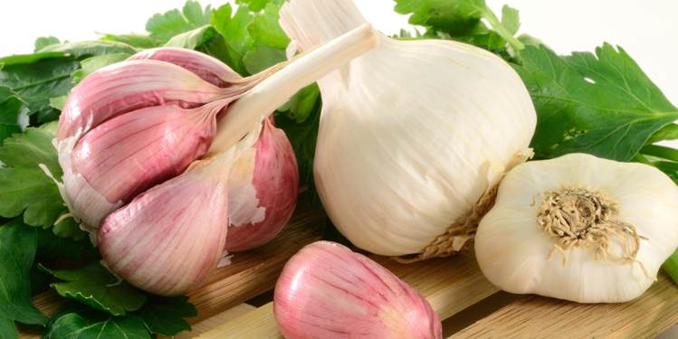 लहसून (garlic) keeps cold and cough away सर्दी, जुकाम, खांसी, बंद नाक और कफ शिशु में